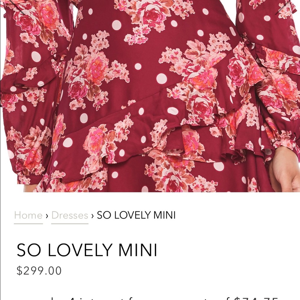 Floral Ruffle Mini Dress - Red - Picture 2 of 7